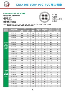 CNS4898 600V PVC-PVC 電力電纜-P5